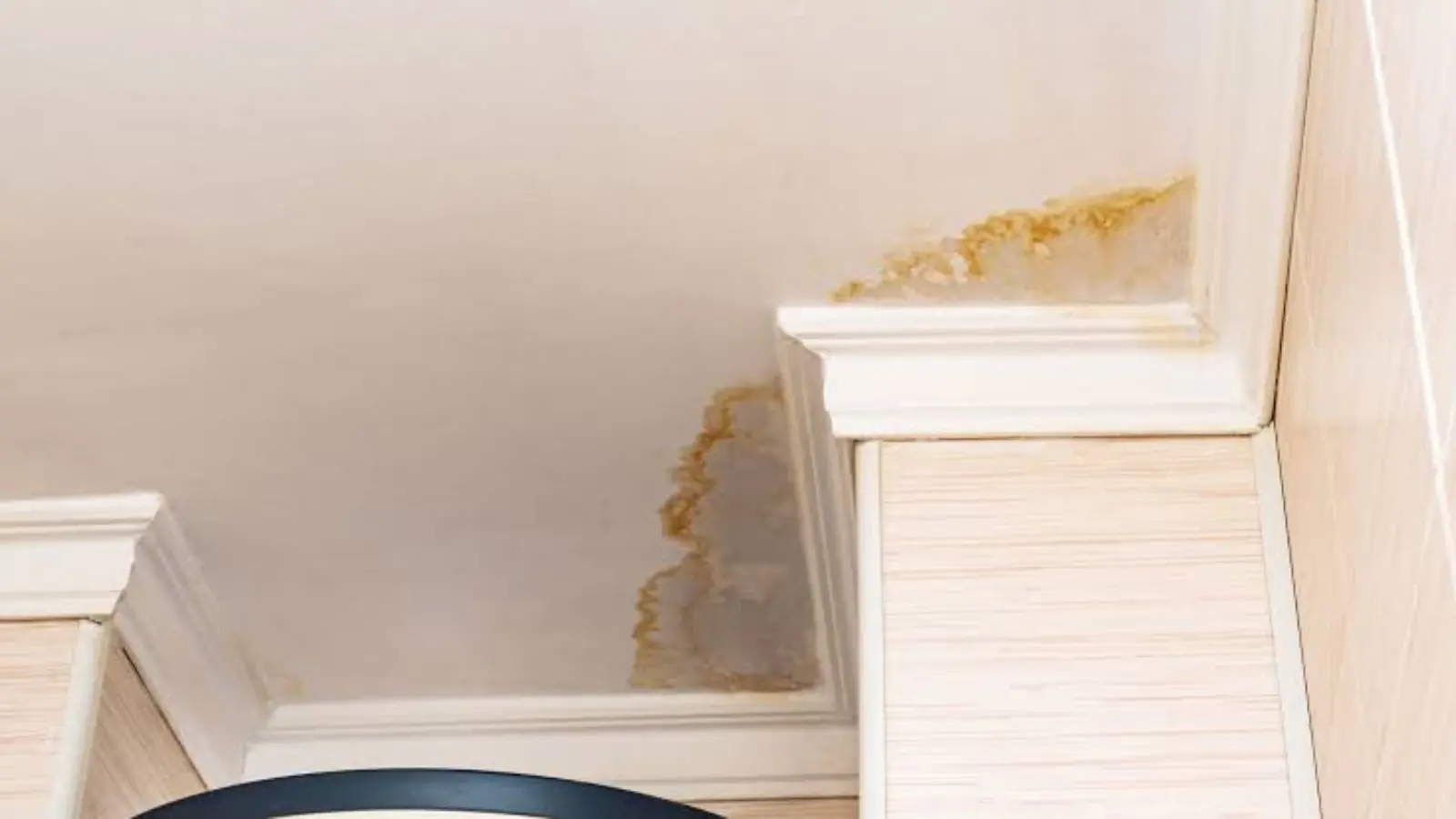 Water beads and moisture on a wood plank floor