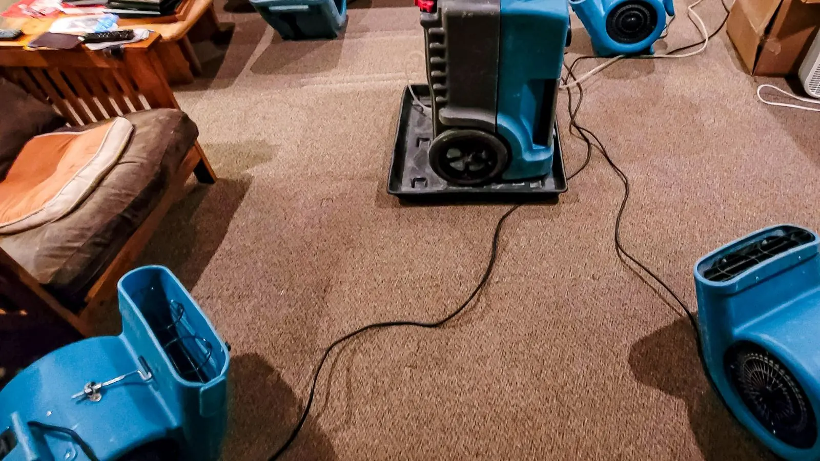 Blue air movers and a dehumidifier drying a carpeted living room
